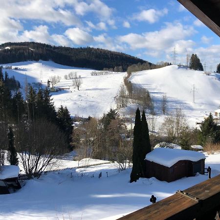 Apartment Fam. Zappe Steinhaus am Semmering Exteriör bild